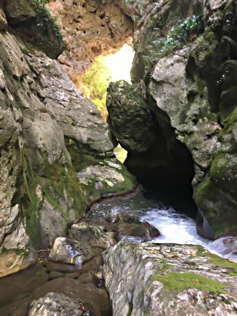 2019 07 24 siagne08