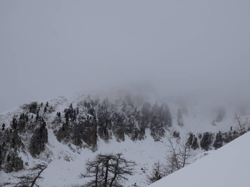 DSC03251